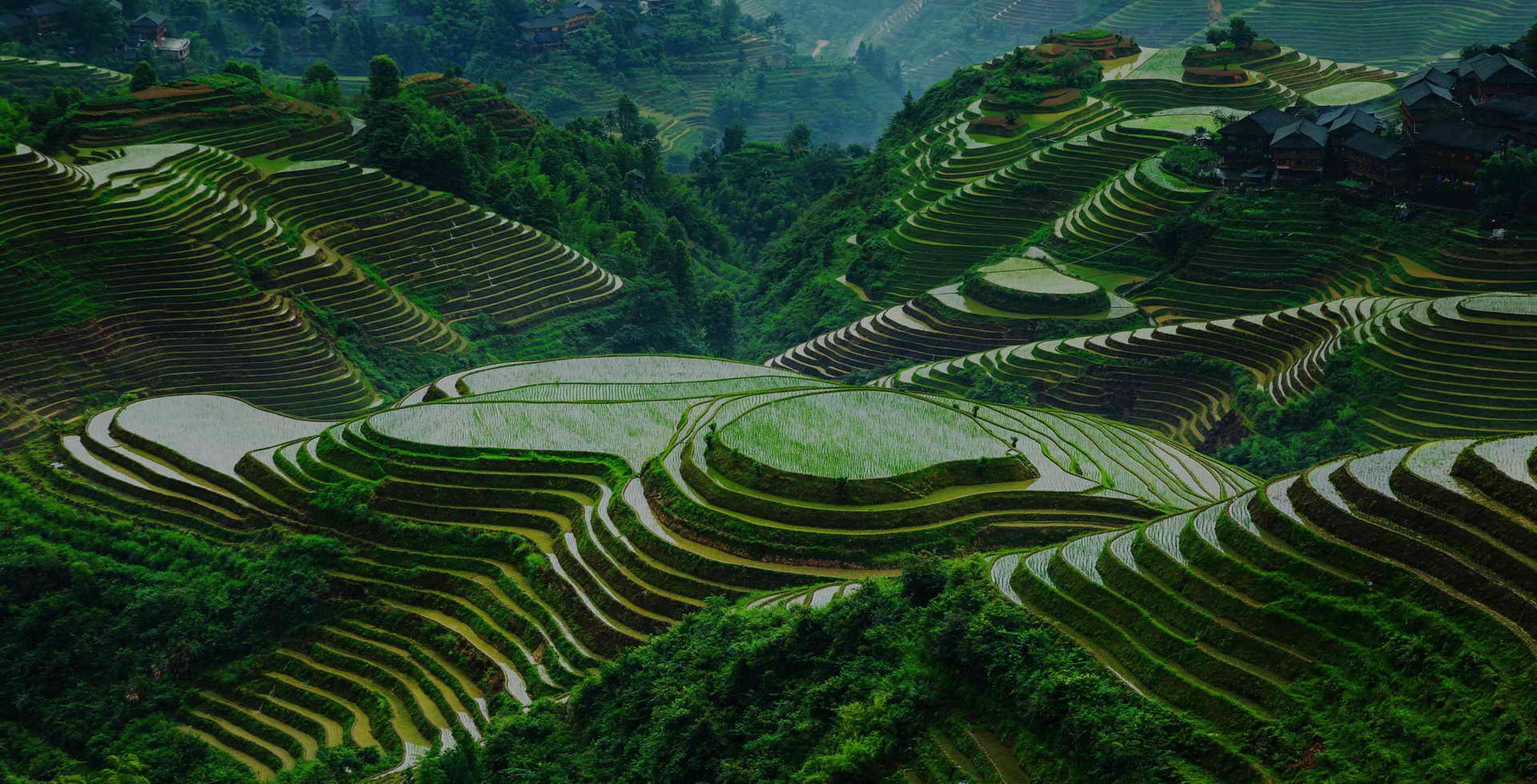 longji rice terraces
